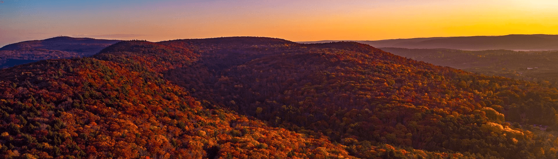 A panoramic view of colorful autumn foliage under a sunset sky.